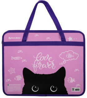 Папка на молнии с ручками BRAUBERG А4, 1 отделение, пластик, 80 мм, &quot;Black Cat&quot;, 270122