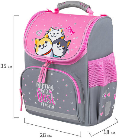 Ранец ПИФАГОР BASIC, 1 отделение, 3 кармана, эргономичная спинка, "Best team", 35х28х18 см, 272050