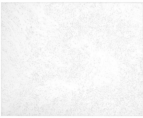 Картина по номерам 40х50 см, ОСТРОВ СОКРОВИЩ "Весна", на подрамнике, акрил, кисти, 663287