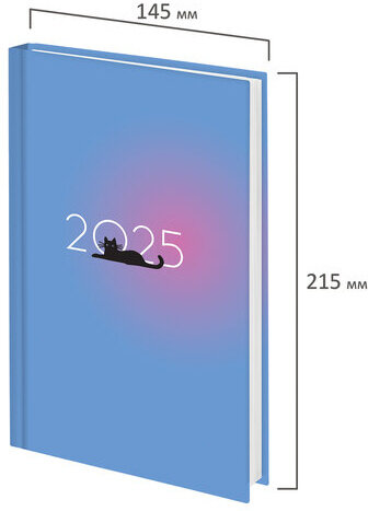 Ежедневник датированный 2025 145х215 мм, А5, STAFF, ламинированная обложка, "Котик", 116031