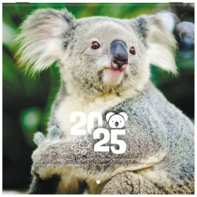 Календарь настенный перекидной на 2025 г., BRAUBERG, 12 листов, 22,5х22,5 см, МИНИ, &quot;Дикие животные&quot;, 116179