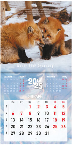 Календарь настенный перекидной на 2025 г., BRAUBERG, 12 листов, 22,5х22,5 см, МИНИ, "Дикие животные", 116179
