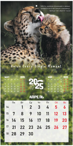 Календарь настенный перекидной на 2025 г., BRAUBERG, 12 листов, 22,5х22,5 см, МИНИ, "Дикие животные", 116179