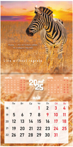 Календарь настенный перекидной на 2025 г., BRAUBERG, 12 листов, 22,5х22,5 см, МИНИ, "Дикие животные", 116179