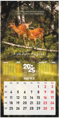 Календарь настенный перекидной на 2025 г., BRAUBERG, 12 листов, 22,5х22,5 см, МИНИ, "Дикие животные", 116179