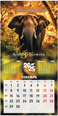 Календарь настенный перекидной на 2025 г., BRAUBERG, 12 листов, 22,5х22,5 см, МИНИ, "Дикие животные", 116179