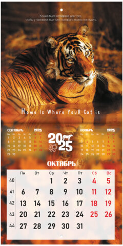 Календарь настенный перекидной на 2025 г., BRAUBERG, 12 листов, 22,5х22,5 см, МИНИ, "Дикие животные", 116179