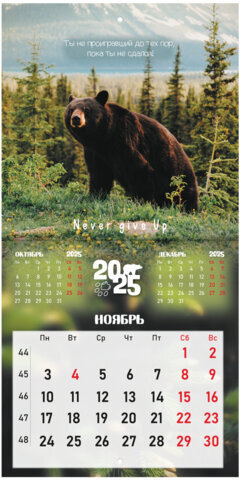 Календарь настенный перекидной на 2025 г., BRAUBERG, 12 листов, 22,5х22,5 см, МИНИ, "Дикие животные", 116179