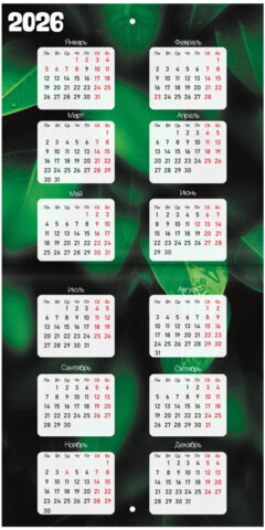 Календарь настенный перекидной на 2025 г., BRAUBERG, 12 листов, 22,5х22,5 см, МИНИ, "Дикие животные", 116179