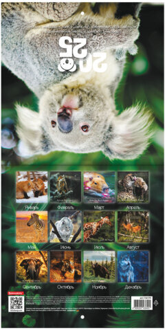 Календарь настенный перекидной на 2025 г., BRAUBERG, 12 листов, 22,5х22,5 см, МИНИ, "Дикие животные", 116179