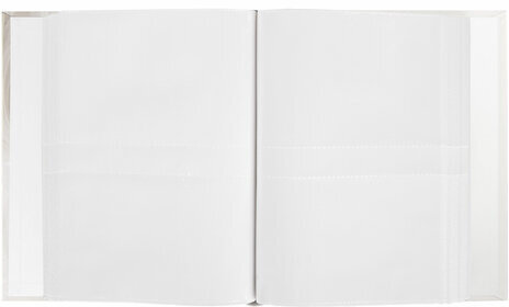 Фотоальбом BRAUBERG "Кольца и жемчуг" на 200 фото 10х15 см, твердая обложка, переплет, бокс, 391151