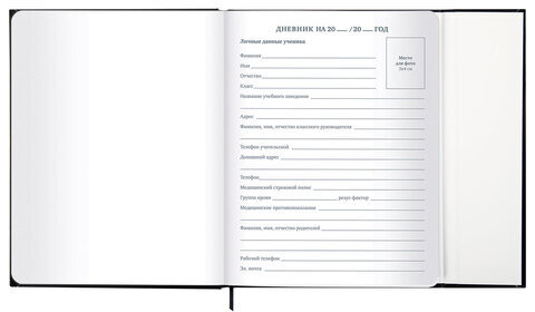 Дневник 1-11 класс 48 л., твердый, BRAUBERG, матовая ламинация, магнитный клапан, закладка-ляссе, с подсказом, "Дракон", 107245