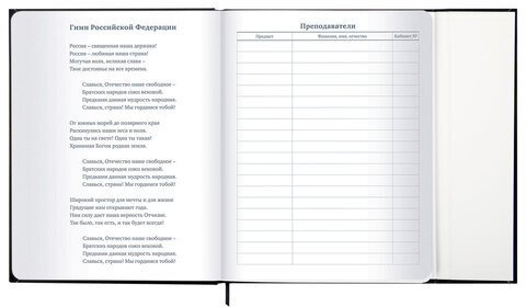 Дневник 1-11 класс 48 л., твердый, BRAUBERG, матовая ламинация, магнитный клапан, закладка-ляссе, с подсказом, "Дракон", 107245