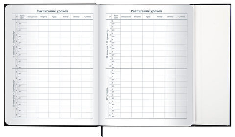 Дневник 1-11 класс 48 л., твердый, BRAUBERG, матовая ламинация, магнитный клапан, закладка-ляссе, с подсказом, "Дракон", 107245