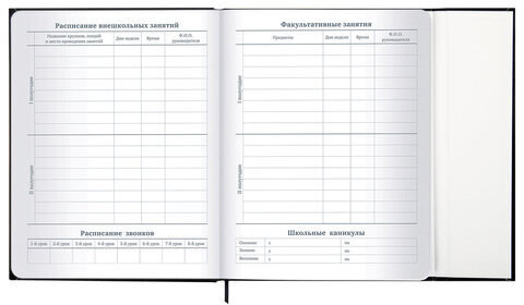 Дневник 1-11 класс 48 л., твердый, BRAUBERG, матовая ламинация, магнитный клапан, закладка-ляссе, с подсказом, "Дракон", 107245