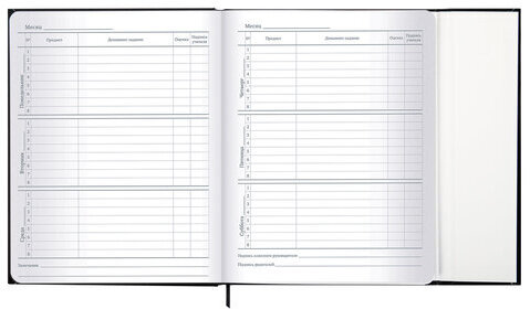 Дневник 1-11 класс 48 л., твердый, BRAUBERG, матовая ламинация, магнитный клапан, закладка-ляссе, с подсказом, "Дракон", 107245