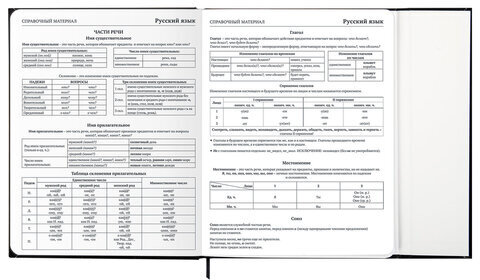 Дневник 1-11 класс 48 л., твердый, BRAUBERG, матовая ламинация, магнитный клапан, закладка-ляссе, с подсказом, "Дракон", 107245