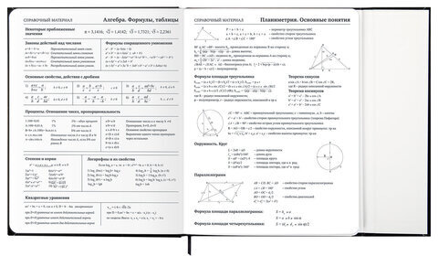 Дневник 1-11 класс 48 л., твердый, BRAUBERG, матовая ламинация, магнитный клапан, закладка-ляссе, с подсказом, "Дракон", 107245
