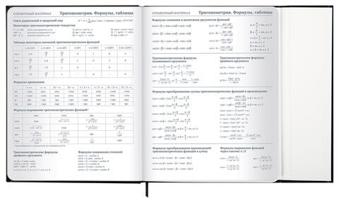 Дневник 1-11 класс 48 л., твердый, BRAUBERG, матовая ламинация, магнитный клапан, закладка-ляссе, с подсказом, "Дракон", 107245
