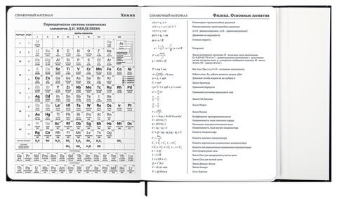 Дневник 1-11 класс 48 л., твердый, BRAUBERG, матовая ламинация, магнитный клапан, закладка-ляссе, с подсказом, "Дракон", 107245