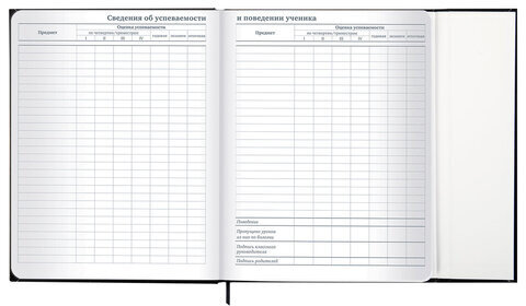 Дневник 1-11 класс 48 л., твердый, BRAUBERG, матовая ламинация, магнитный клапан, закладка-ляссе, с подсказом, "Дракон", 107245