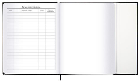 Дневник 1-11 класс 48 л., твердый, BRAUBERG, матовая ламинация, магнитный клапан, закладка-ляссе, с подсказом, "Дракон", 107245