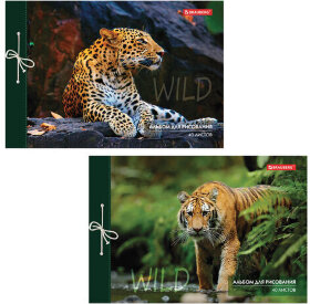 Альбом для рисования А4 40 л., на завязках, обложка картон, BRAUBERG, 200х285 мм, "Дикие кошки" (2 вида), 105615