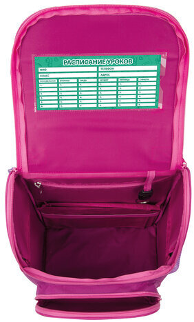 Ранец ПИФАГОР BASIC, с эргономичной спинкой, "Smart owls", 35х28х18 см, 229933