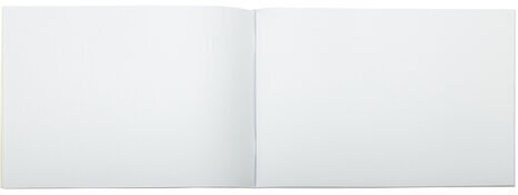 Альбом для рисования, А4, 40 листов, скоба, глянцевый лак, BRAUBERG, 200х285 мм, "Гранаты", 106705