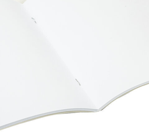 Альбом для рисования, А4, 40 листов, скоба, глянцевый лак, BRAUBERG, 200х285 мм, "Гранаты", 106705