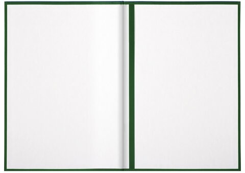 Папка адресная бумвинил с гербом России, формат А4, зеленая, индивидуальная упаковка, STAFF "Basic", 129581