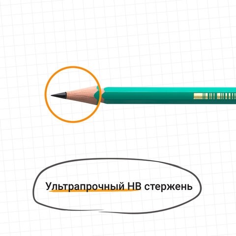 Карандаш чернографитный BIC, 1 шт., "Evolution", HB, без резинки, пластиковый, корпус зеленый, заточенный, 8803112