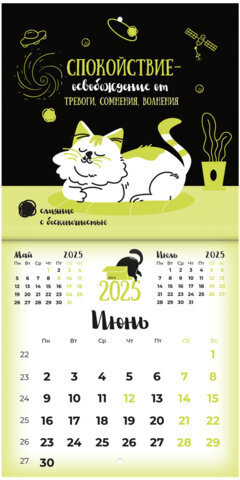 Календарь настенный перекидной на 2025 г., BRAUBERG, 12 листов, 22,5х22,5 см, МИНИ, "Весёлые коты", 116180