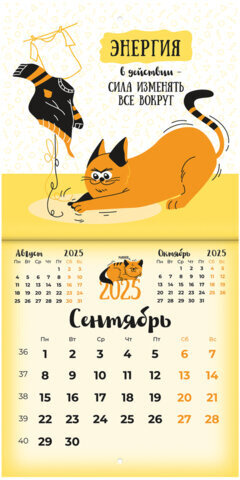 Календарь настенный перекидной на 2025 г., BRAUBERG, 12 листов, 22,5х22,5 см, МИНИ, "Весёлые коты", 116180