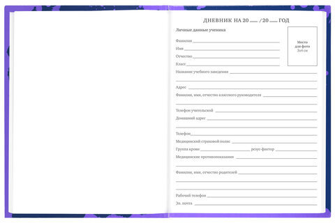 Дневник 5-11 класс 48 л., твердый, BRAUBERG, глянцевая ламинация, с подсказом, "Приставка", 106629