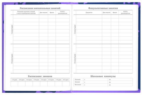 Дневник 5-11 класс 48 л., твердый, BRAUBERG, глянцевая ламинация, с подсказом, "Приставка", 106629