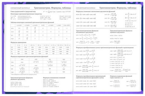 Дневник 5-11 класс 48 л., твердый, BRAUBERG, глянцевая ламинация, с подсказом, "Приставка", 106629