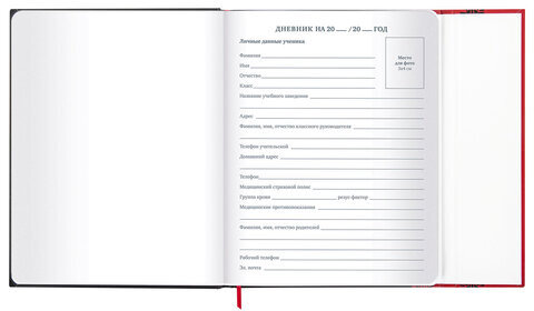 Дневник 1-11 класс 48 л., твердый, BRAUBERG, матовая ламинация, магнитный клапан, закладка-ляссе, с подсказом, "Авто", 107246