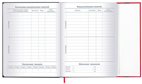 Дневник 1-11 класс 48 л., твердый, BRAUBERG, матовая ламинация, магнитный клапан, закладка-ляссе, с подсказом, "Авто", 107246