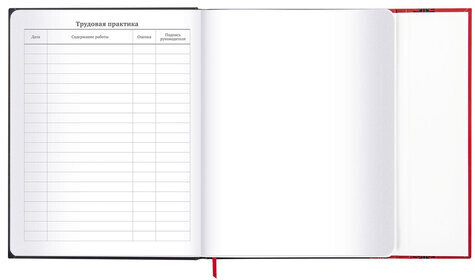 Дневник 1-11 класс 48 л., твердый, BRAUBERG, матовая ламинация, магнитный клапан, закладка-ляссе, с подсказом, "Авто", 107246