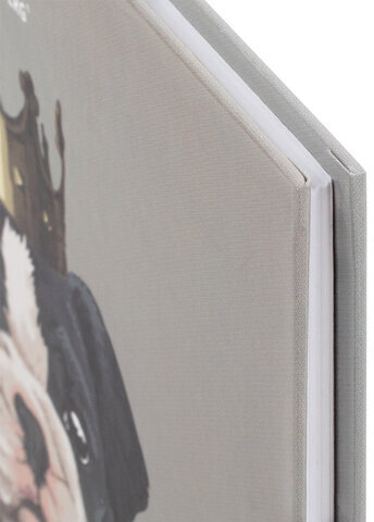 Дневник 5-11 класс 48 л., твердый, BRAUBERG, глянцевая ламинация, с подсказом, "Милый Пёс", 106402