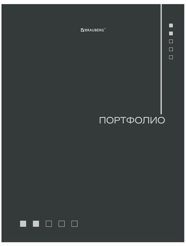Папка-портфолио универсальная, 4 кольца, 20 файлов, 7БЦ матовая, BRAUBERG "Minimalism", 117553