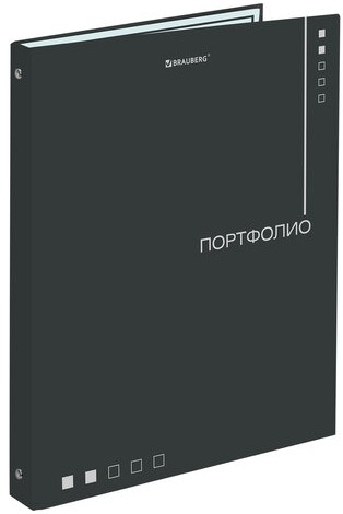 Папка-портфолио универсальная, 4 кольца, 20 файлов, 7БЦ матовая, BRAUBERG "Minimalism", 117553