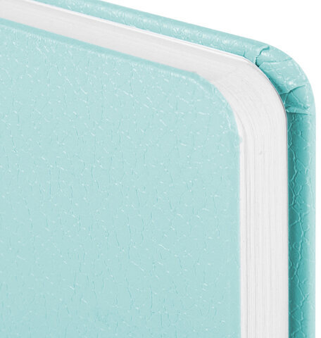 Ежедневник недатированный МАЛЫЙ ФОРМАТ А6 (100x150 мм) BRAUBERG "Profile", балакрон, 136 л., мятный, 111692