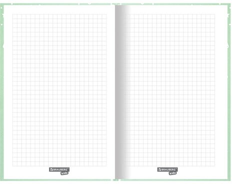 Блокнот А5 (134х206 мм), 80 л., твёрдый, клетка, BRAUBERG KIDS, "Пингвинчики", 114420