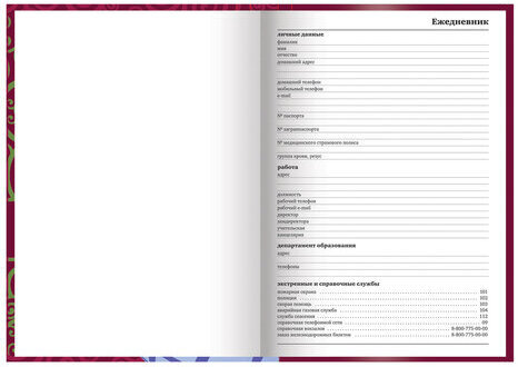 Ежедневник учителя специализированный А5 (215х145 мм), твердая обложка, 144 л., BRAUBERG, "ГЛОБУС", 129233