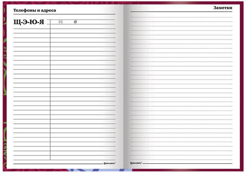 Ежедневник учителя специализированный А5 (215х145 мм), твердая обложка, 144 л., BRAUBERG, "ГЛОБУС", 129233