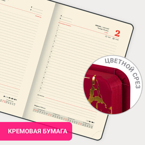 Ежедневник датированный 2025 А5 138x213 мм BRAUBERG "Goldy", под кожу, цветной срез, красный, 115899