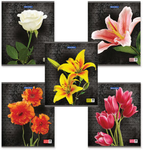 Тетрадь А5, 48 л., BRAUBERG, клетка, блестки, ЦВЕТЫ, 401839