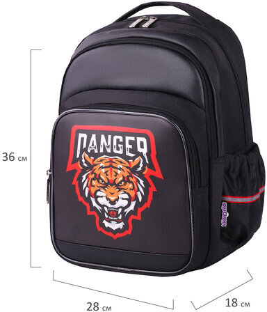 Рюкзак ЮНЛАНДИЯ MILD, 2 отделения, 3 кармана, эрго-спинка, "Predator", 36х28х18 см, 271388